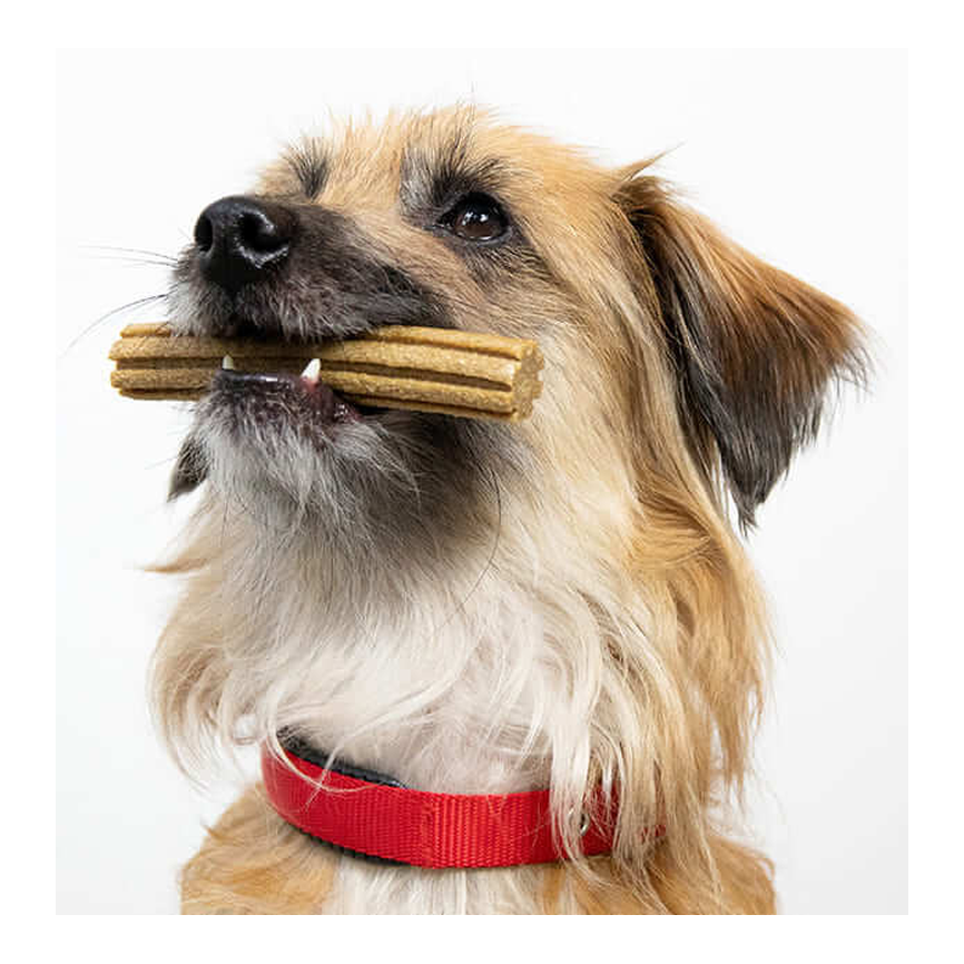 PERRO SNACKS HIGIENE ORAL
